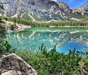 Włochy, Drzewa, Jezioro, Góry, Lago di Braies, Pragser Wildsee