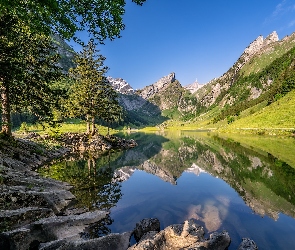 Góry, Santis, Szwajcaria, Szczyt, Skały, Alpy, Drzewa, Jezioro