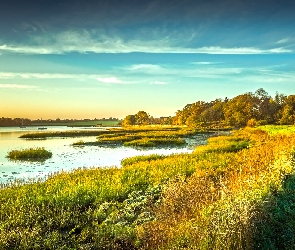 Łąka, Hrabstwo Suffolk, River Deben, Anglia, Kyson Hill, Rzeka, Trawa, Las, Drzewa
