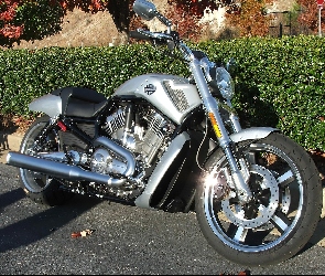 Akcesoryjne, Dodatki, Harley Davidson V-Rod Muscle