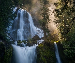 Stan Waszyngton, Przebijające światło, Wodospad, Stany Zjednoczone, Drzewa, Skały, Falls Creek Falls