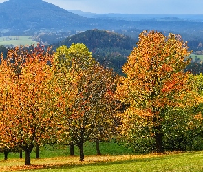 Góry, Liście, Jesień, Drzewa