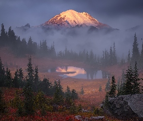 Góry, Drzewa, Park Narodowy Mount Rainier, Mgła, Stan Waszyngton, Stratowulkan Mount Rainier, Stany Zjednoczone, Jezioro Tipsoo