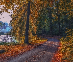 Drzewa, Staw, Las, Ścieżka, Park, Droga, Jesień, Dom
