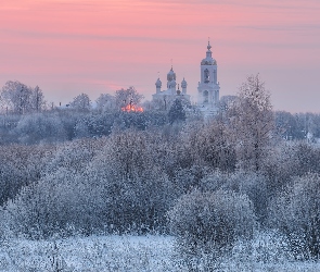 Rośliny, Dunilovo, Zima, Cerkiew, Krzewy, Oszronione, Drzewa, Rosja