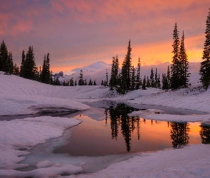 Zima, Stan Waszyngton, Odbicie, Stany Zjednoczone, Park Narodowy Mount Rainier, Drzewa, Góry, Jezioro, Tipsoo Lake