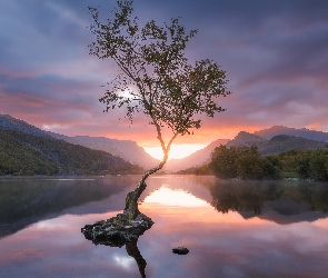 Jezioro, Snowdonia, Walia, Kamienie, Drzewo, Llyn Padarn, Zachód słońca, Góry