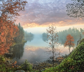 Chmury, Mgła, Las, Jezioro, Drzewa, Jesień