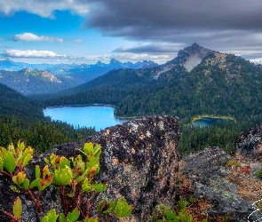 Las, Chmury, Góry, Jezioro, Waszyngton, Drzewa, Stany Zjednoczone, William O Douglas Wilderness