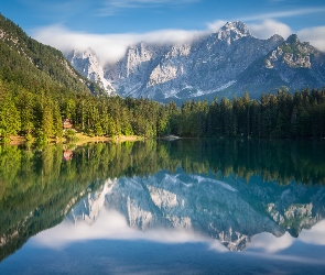 Drzewa, Jezioro, Las, Alpy Julijskie, Odbicie, Góry, Włochy, Lake Fusine