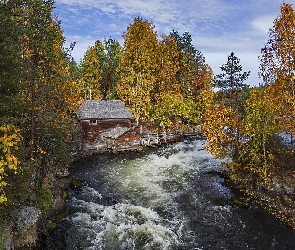 Las, Laponia, Park Narodowy Oulanka, Finlandia, Gmina Kuusamo, Jesień, Drzewa, Rzeka, Młyn Myllykoski