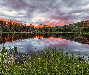 Kolorado, Park Narodowy Gór Skalistych, Jezioro, Stany Zjednoczone, Trawa, Góry, Sprague Lake