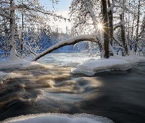 Śnieg, Promienie słońca, Rzeka, Drzewa, Zima