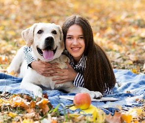 Jabłko, Labrador retriever, Kobieta, Liście, Pies, Długowłosa, Biały
