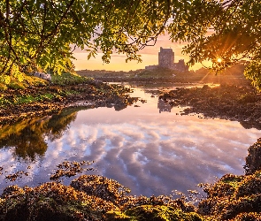 Hrabstwo Galway, Dunguaire Castle, Irlandia, Zamek, Promienie słońca, Kinvara, Zatoka Galway, Drzewa
