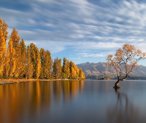 Jezioro, Jesień, Drzewa, Wanaka, Nowa Zelandia