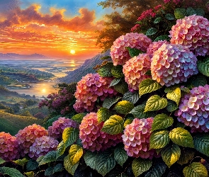 Kwiaty, Grafika, Zachód słońca, Dolina, Hortensje