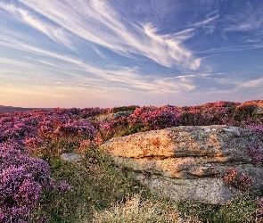 Park Narodowy Peak District, Głazy, Wzgórze, Wrzosowisko, Anglia