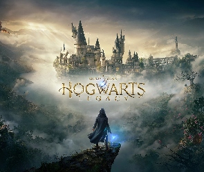 Smok, Skała, Hogwarts Legacy, Zamek, Postać, Gra, Dziedzictwo Hogwartu