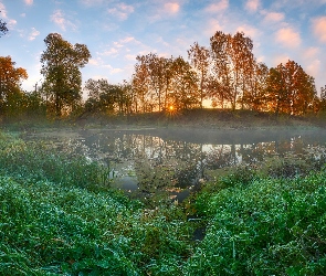 Staw, Mgła, Drzewa, Pożółkłe, Jesień