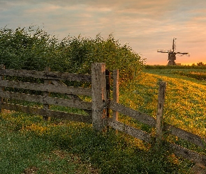 Wiatrak, Ogrodzenie, Rośliny, Łąka, Zachód słońca
