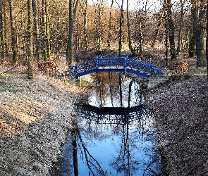 Jesień, Drzewa, Most, Niebieski, Potok, Las