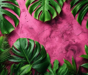 Monstera, Tło, Biskupie, Grafika, Liście