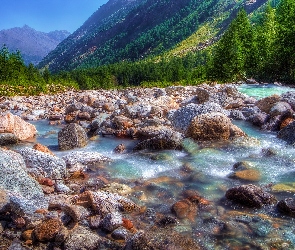 Włochy, Góry, Skały, Park Narodowy Gran Paradiso, Drzewa, Kamienie, Alpy, Dolina Aosty, Potok
