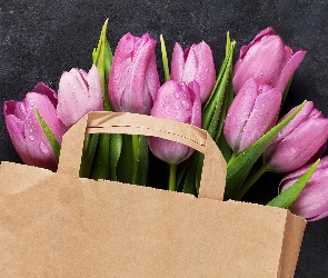 Ciemne tło, Torba, Różowe, Mokre, Tulipany, Papierowa