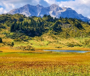 Drzewa, Polana, Tyrol, Jezioro, Góry, Austria, Alpy