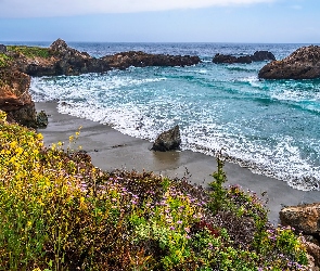 Kalifornia, Big Sur, Skały, Stany Zjednoczone, Wybrzeże, Morze, Kwiaty