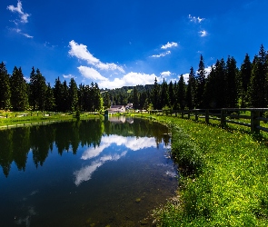 Jezioro, Ogrodzenie, Las, Drzewa, Dom, Odbicie, Niebo, Trawa