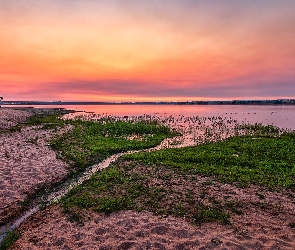 Kolorado, Chatfield, Stany Zjednoczone, Jezioro, Piasek, Park Stanowy Chatfield, Szuwary, Wschód słońca