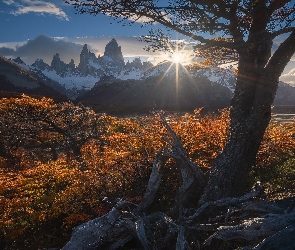 Park Narodowy Los Glaciares, Szczyt, Góry, Fitz Roy, Góry, Patagonia, Promienie słońca, Drzewa, Argentyna, Jesień