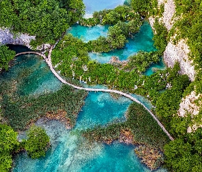 Chorwacja, Drzewa, Jeziora, Park Narodowy Jezior Plitwickich, Wodospady, Zielone