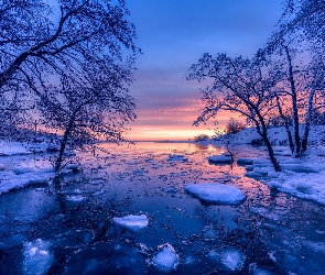 Rzeka, Finlandia, Wschód słońca, Drzewa, Zima