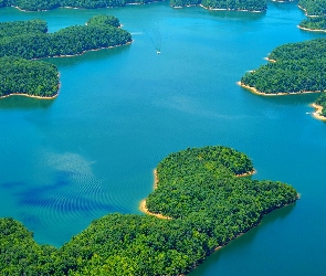 Stany Zjednoczone, Kentucky, Laurel River Lake, Jezioro, Zadrzewione, Półwyspy