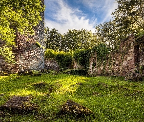 Ruiny, Bawaria, Trawa, Niemcy, Kirchzell, Rośliny, Wildenberg Castle, Mury, Drzewa