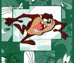 Diabeł Tasmański, Tasmanian Devil