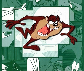 Tasmanian Devil, Diabeł Tasmański