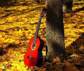 Drzewa, Liście, Klasyczna, Jesień, Opadłe, Gitara, Czerwona