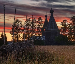 Rosja, Trawa, Cerkiew, Drzewa