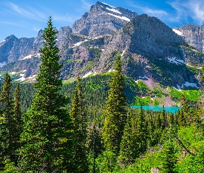 Montana, Jezioro, Stany Zjednoczone, Góry, Lasy, Park Narodowy Glacier, Drzewa, Grinnell Lake