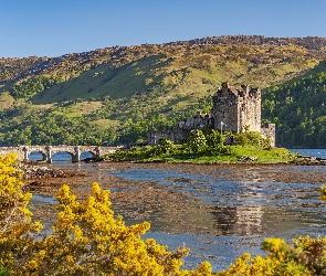 Drzewa, Loch Duich Eilean Donan, Jezioro, Las, Zamek, Szkocja, Eilean Donan Castle, Most, Jesień, Wzgórza