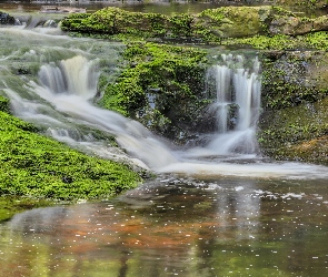 Skały, Roślinność, Rzeka