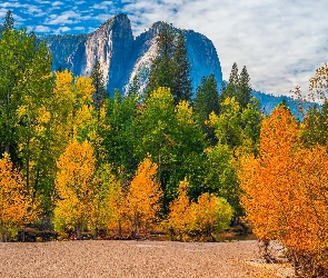 Góry, Drzewa, Kalifornia, Chmury, Jesień, Stany Zjednoczone, Park Narodowy Yosemite