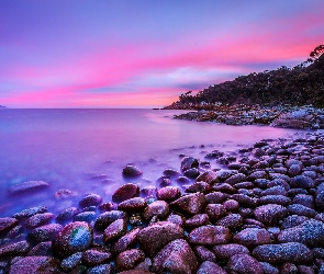 Australia, Bluestone Bay, Zachód słońca, Tasmania, Kamienie, Brzeg, Drzewa, Niebo, Morze, Różowe