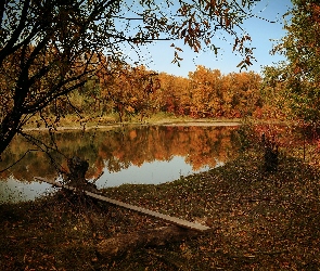 Ławka, Drzewa, Rzeka, Jesień