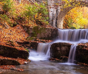 Las, Sitowo, Jesień, Liście, Drzewa, Kaskada, Sitovski Waterfall, Most, Wodospad, Rzeka, Opadłe, Bułgaria, Kamienny