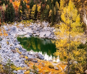 Drzewa, Skały, Jesień, Staw